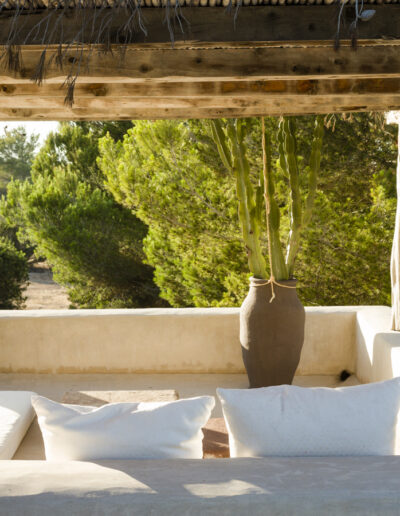 nature view from the upstairs patio of Villa Carlos for rent in luxury formentera area cap de barberia
